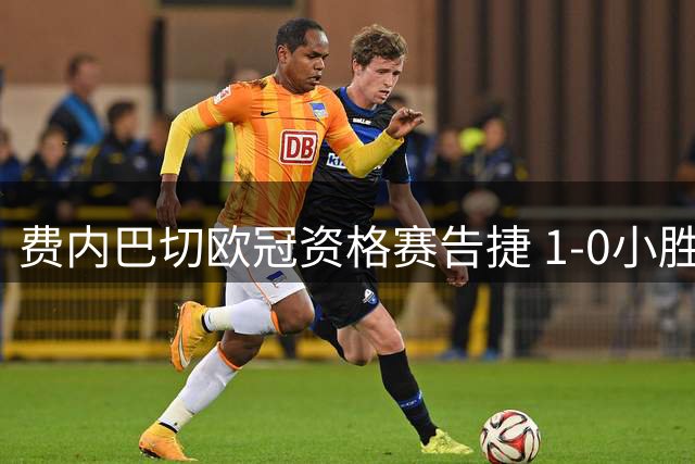 费内巴切欧冠资格赛告捷 1-0小胜萨比利斯